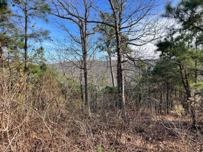 400 Acres (+/-) 45 Minutes Ne Of Hochatown Oklahoma For Sale - image 35