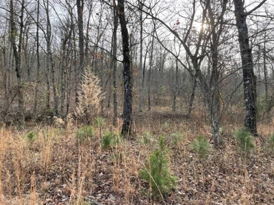 400 Acres (+/-) 45 Minutes Ne Of Hochatown Oklahoma For Sale - image 7