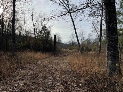 400 Acres (+/-) 45 Minutes Ne Of Hochatown Oklahoma For Sale - image 18