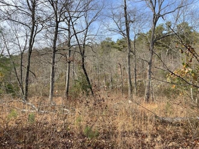 400 Acres (+/-) 45 Minutes Ne Of Hochatown Oklahoma For Sale - image 5