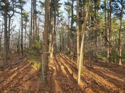 400 Acres (+/-) 45 Minutes Ne Of Hochatown Oklahoma For Sale - image 33