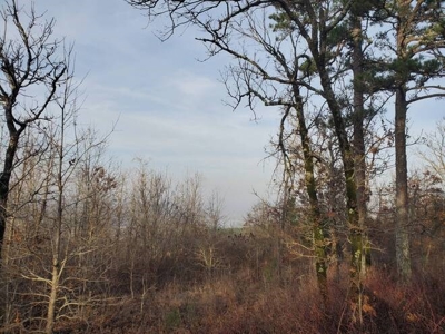 400 Acres (+/-) 45 Minutes Ne Of Hochatown Oklahoma For Sale - image 39