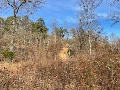 400 Acres (+/-) 45 Minutes Ne Of Hochatown Oklahoma For Sale - image 9