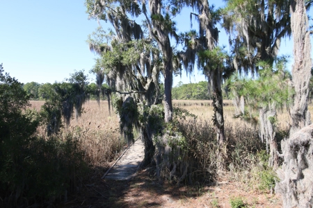 Waterfront House for sale Aurora Beaufort County NC - image 32