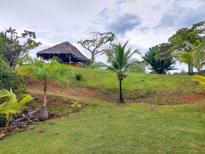 Over the Sea Home on YOUR OWN ISLAND Bocas del Toro - image 42