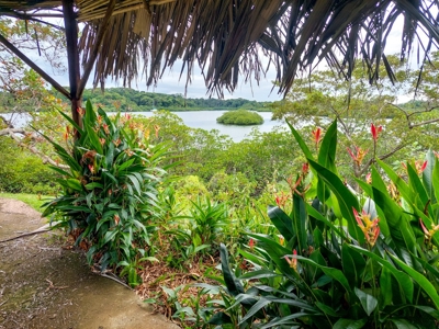 Over the Sea Home on YOUR OWN ISLAND Bocas del Toro - image 34