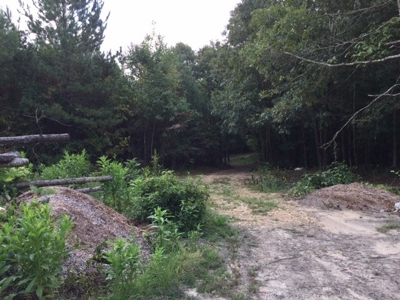 Land for Sale Lewis County, Tennessee - image 8