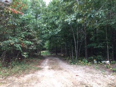 Land for Sale Lewis County, Tennessee - image 10