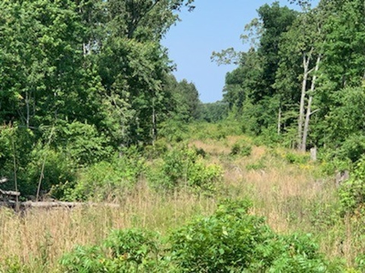 Land for Sale Lewis County, Tennessee - image 16