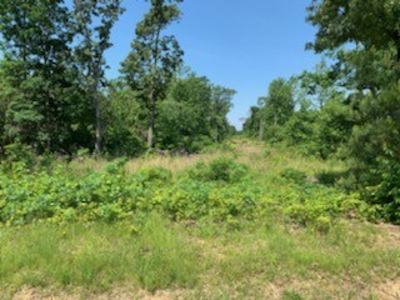 Land for Sale Lewis County, Tennessee - image 15