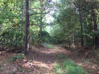 Land for Sale Lewis County, Tennessee - image 9