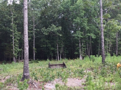 Land for Sale Lewis County, Tennessee - image 11