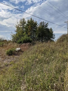 Commercial Vacant Acreage for Sale Onaway MI - image 7