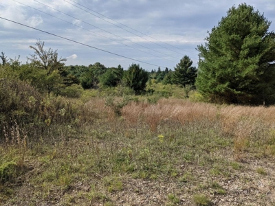 Commercial Vacant Acreage for Sale Onaway MI - image 5