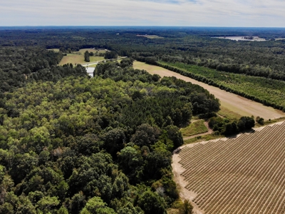 5 bed / 4 bath Home w/ Finished Basement 48 acres Geneva AL - image 10