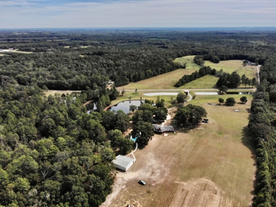 5 bed / 4 bath Home w/ Finished Basement 48 acres Geneva AL - image 5