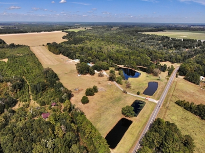 5 bed / 4 bath Home w/ Finished Basement 48 acres Geneva AL - image 2