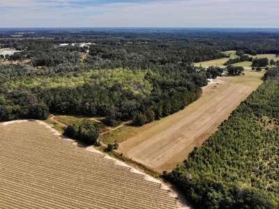 5 bed / 4 bath Home w/ Finished Basement 48 acres Geneva AL - image 11