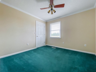 5 bed / 4 bath Home w/ Finished Basement 48 acres Geneva AL - image 34