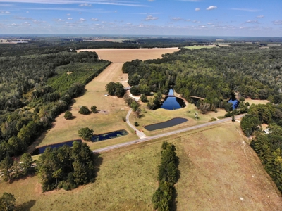 5 bed / 4 bath Home w/ Finished Basement 48 acres Geneva AL - image 4
