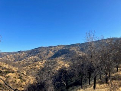 Extremely Private Napa County Recreation Property for Sale - image 5