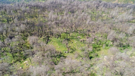 Extremely Private Napa County Recreation Property for Sale - image 17