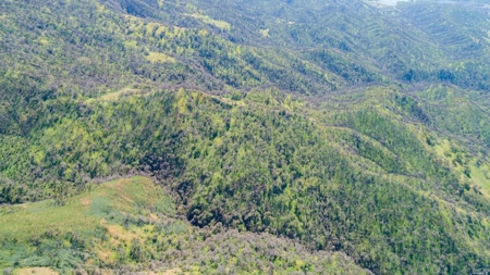 Extremely Private Napa County Recreation Property for Sale - image 11