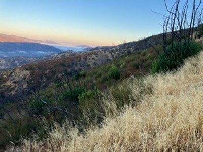 Extremely Private Napa County Recreation Property for Sale - image 3