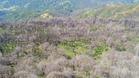 Extremely Private Napa County Recreation Property for Sale - image 16