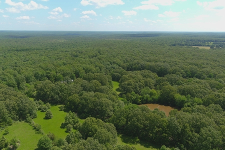 Hunting, Church Camp, Residential, Lodge, Land Acerage - image 49