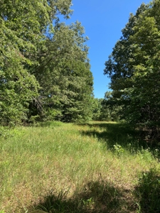 Hunting, Church Camp, Residential, Lodge, Land Acerage - image 42