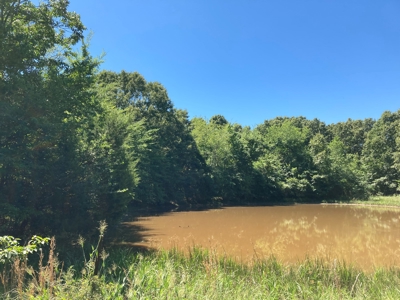 Hunting, Church Camp, Residential, Lodge, Land Acerage - image 41