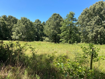 Hunting, Church Camp, Residential, Lodge, Land Acerage - image 37