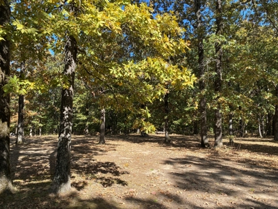 Hunting, Church Camp, Residential, Lodge, Land Acerage - image 8