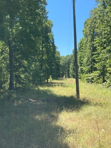 Hunting, Church Camp, Residential, Lodge, Land Acerage - image 47