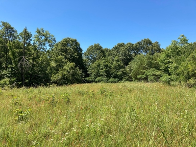 Hunting, Church Camp, Residential, Lodge, Land Acerage - image 44