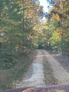 Hunting, Church Camp, Residential, Lodge, Land Acerage - image 13