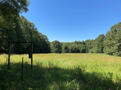 Hunting, Church Camp, Residential, Lodge, Land Acerage - image 34