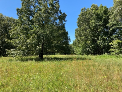 Hunting, Church Camp, Residential, Lodge, Land Acerage - image 39