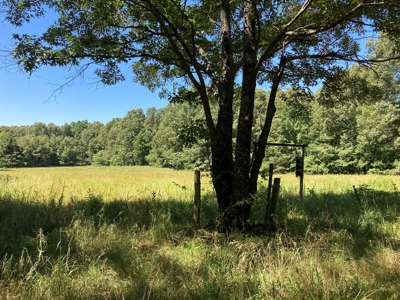 Hunting, Church Camp, Residential, Lodge, Land Acerage - image 32