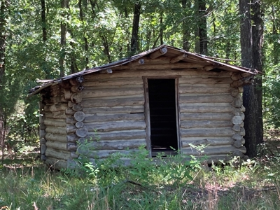 Hunting, Church Camp, Residential, Lodge, Land Acerage - image 35