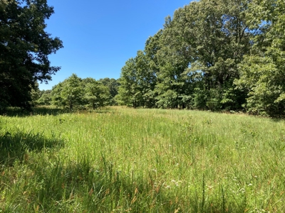 Hunting, Church Camp, Residential, Lodge, Land Acerage - image 43