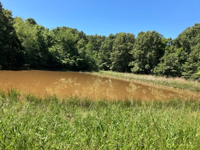 Hunting, Church Camp, Residential, Lodge, Land Acerage - image 40