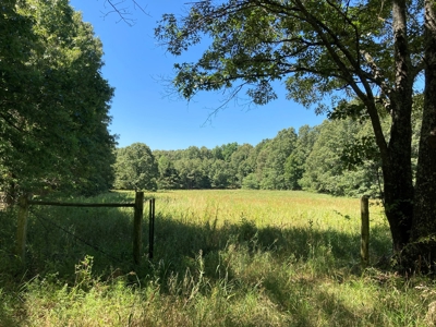 Hunting, Church Camp, Residential, Lodge, Land Acerage - image 33