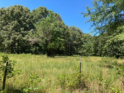 Hunting, Church Camp, Residential, Lodge, Land Acerage - image 36