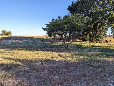 Online Auction, 8 Acres, Storage Units, Metal Shop, Halstead - image 7