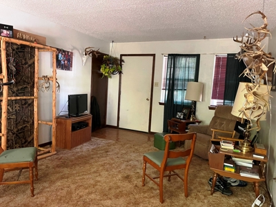 Home in Ash Flat, Arkansas for sale - image 1