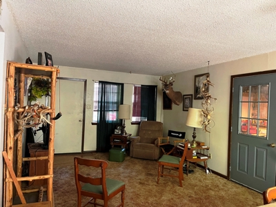 Home in Ash Flat, Arkansas for sale - image 9