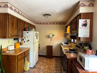 Home in Ash Flat, Arkansas for sale - image 3