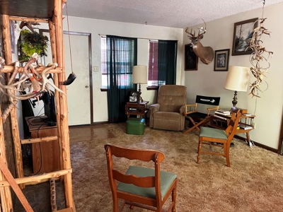 Home in Ash Flat, Arkansas for sale - image 2
